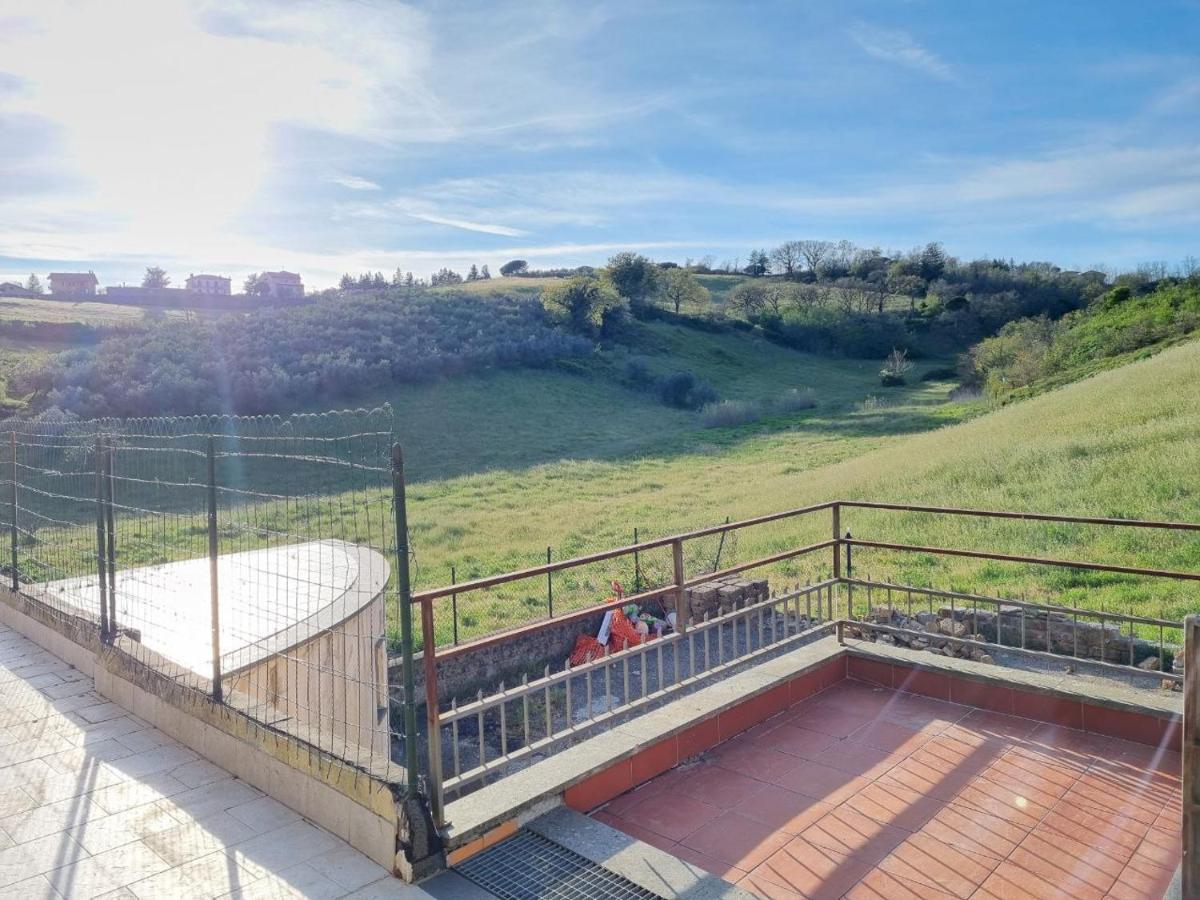 Summer House Daire Montefiascone Dış mekan fotoğraf